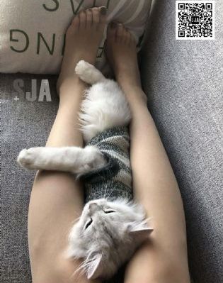 女教师2免费观看_BD国语韩国电影在线观看
